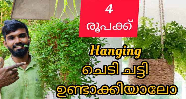 hanging-pots