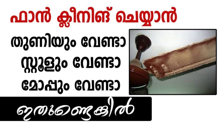 ceiling fan cleaning