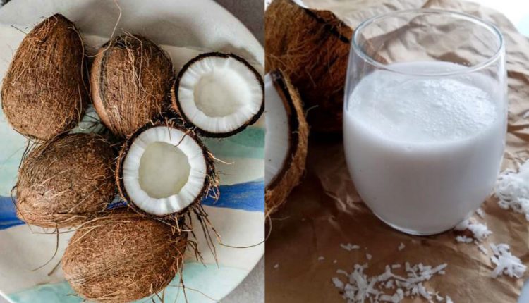 coconut milk