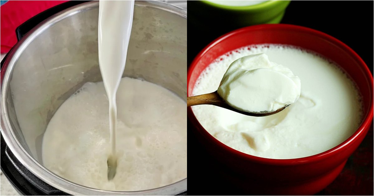 Homemade Instant Curd making malayalam