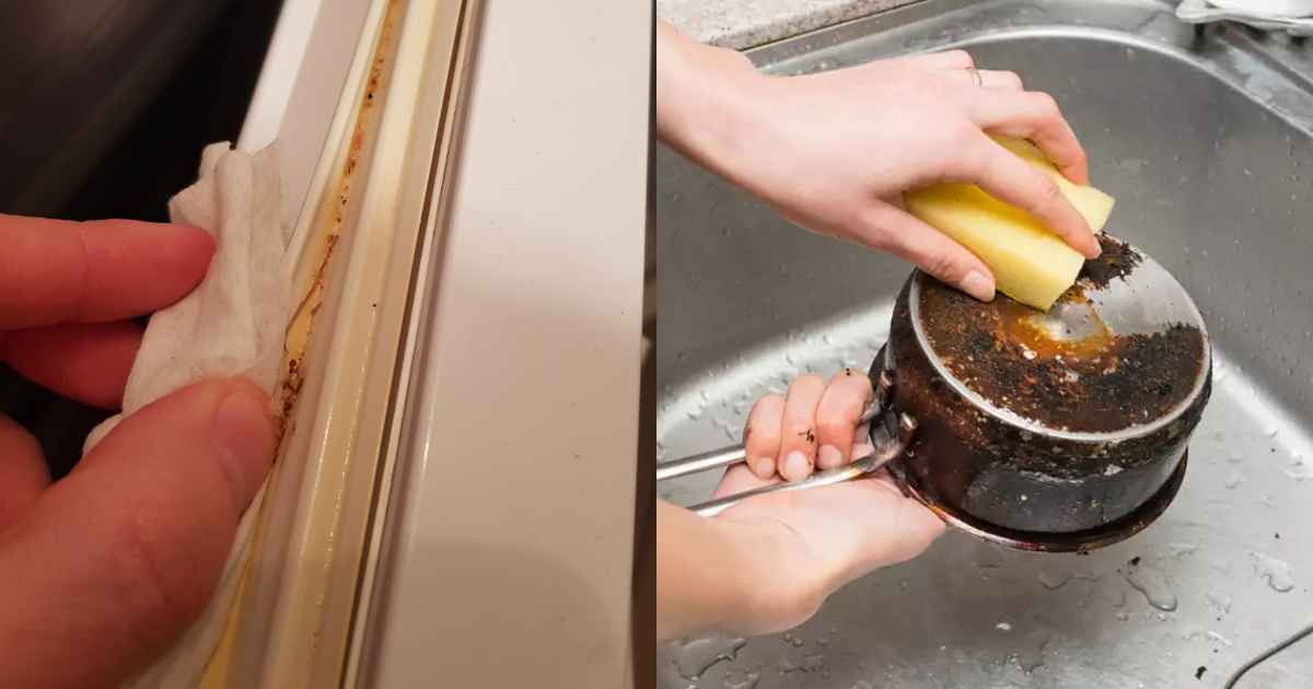 easy tip-to-clean-refrigerator-door-rubber
