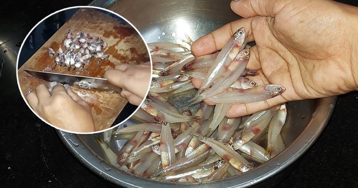 netholi fish cleaning tips