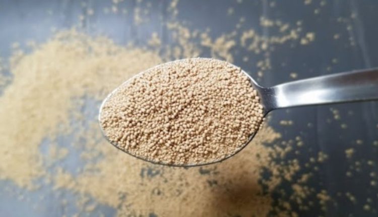Perfect-Yeast-Making-at-Home