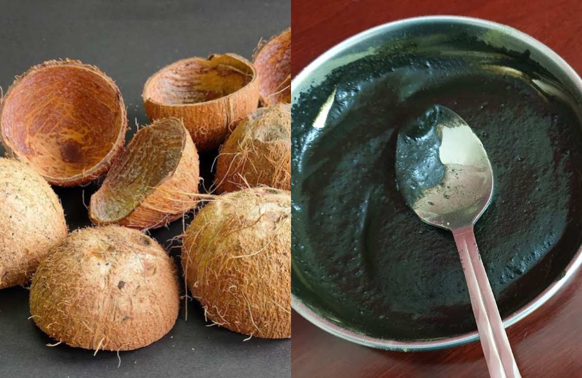 natural Ayurvedic Hair Dye with Coconut Shell