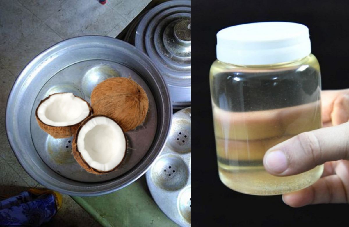 Tip To Make Coconut Oil Using Iddli Pot malayalam