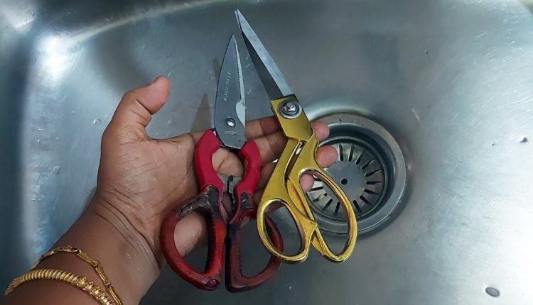 Kitchen Zink Problem Remedy