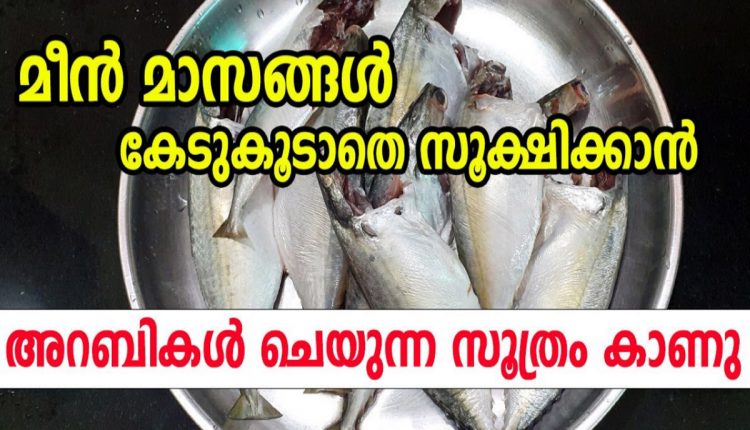 Tip To Store Fish For Long Time