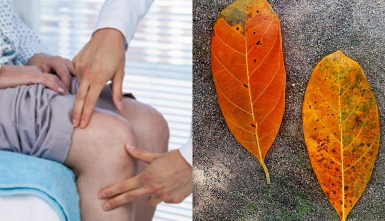 Muttu Vedhana Maran Plavila