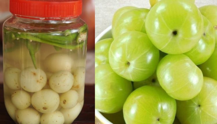 Nellikka Uppilidan Tips