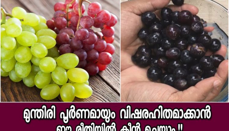 Tip To Remove Pestisides From Grapes