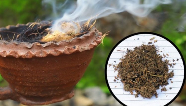 Easy Tip To Get Ride Of Insects