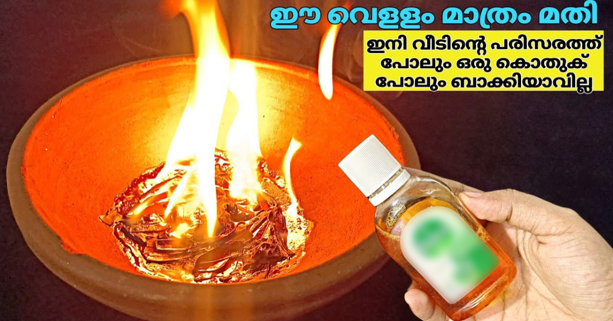 ഈ വെള്ളം മാത്രം മതി.!! വീടിൻ്റെ പരിസരത്ത് ഒരു കൊതുക് പോലും