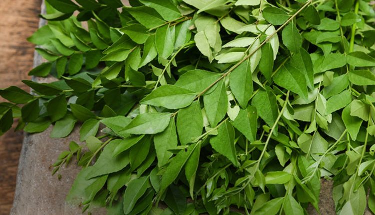 Tip To Store Curryleaves Fresh For Long