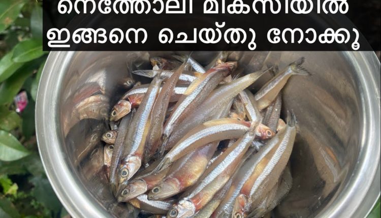 Tasty Special Netholi Snack Recipe