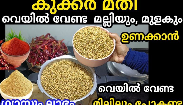 Tip To Grind Coriander And Chilly Using Cooker