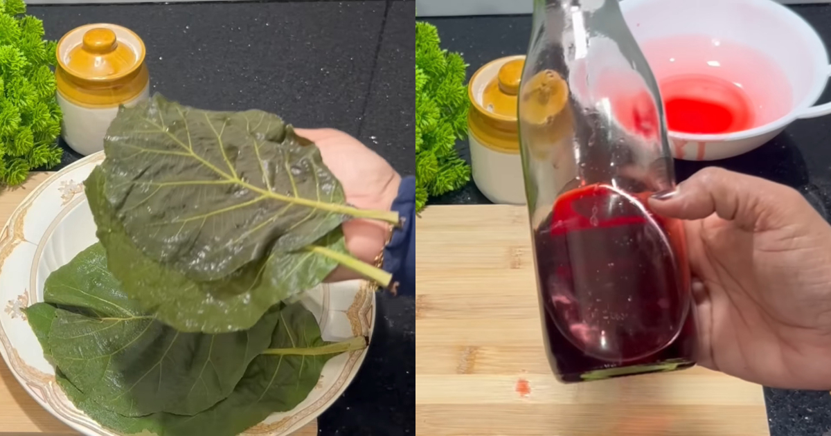 Health Benefits Of Teak Leaf