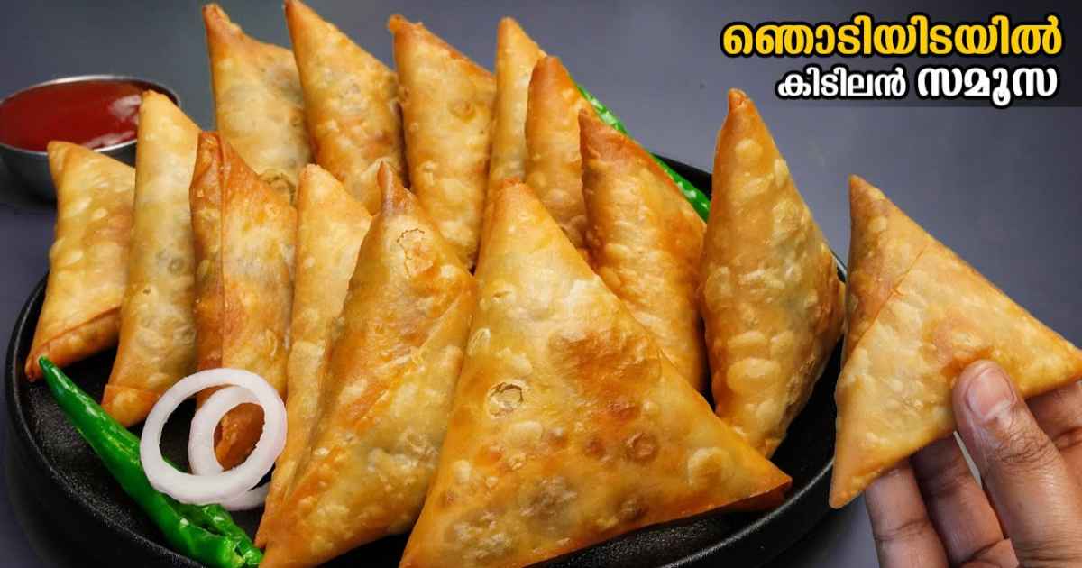 Tasty Special Samosa