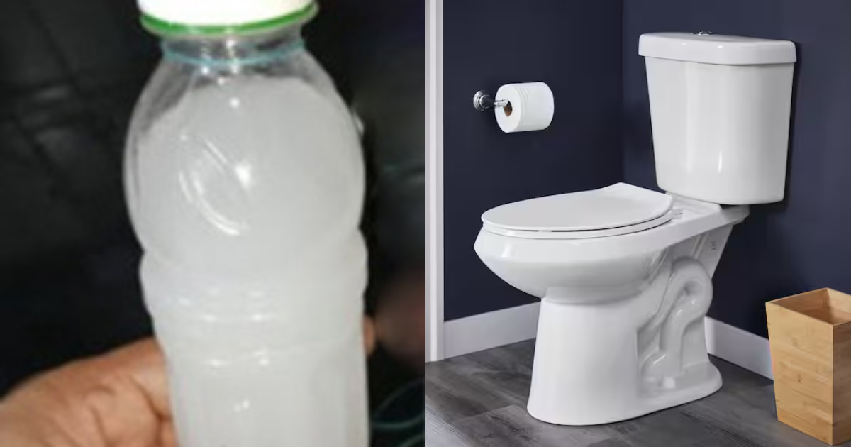 Tips To Add Good Smell In Toilets