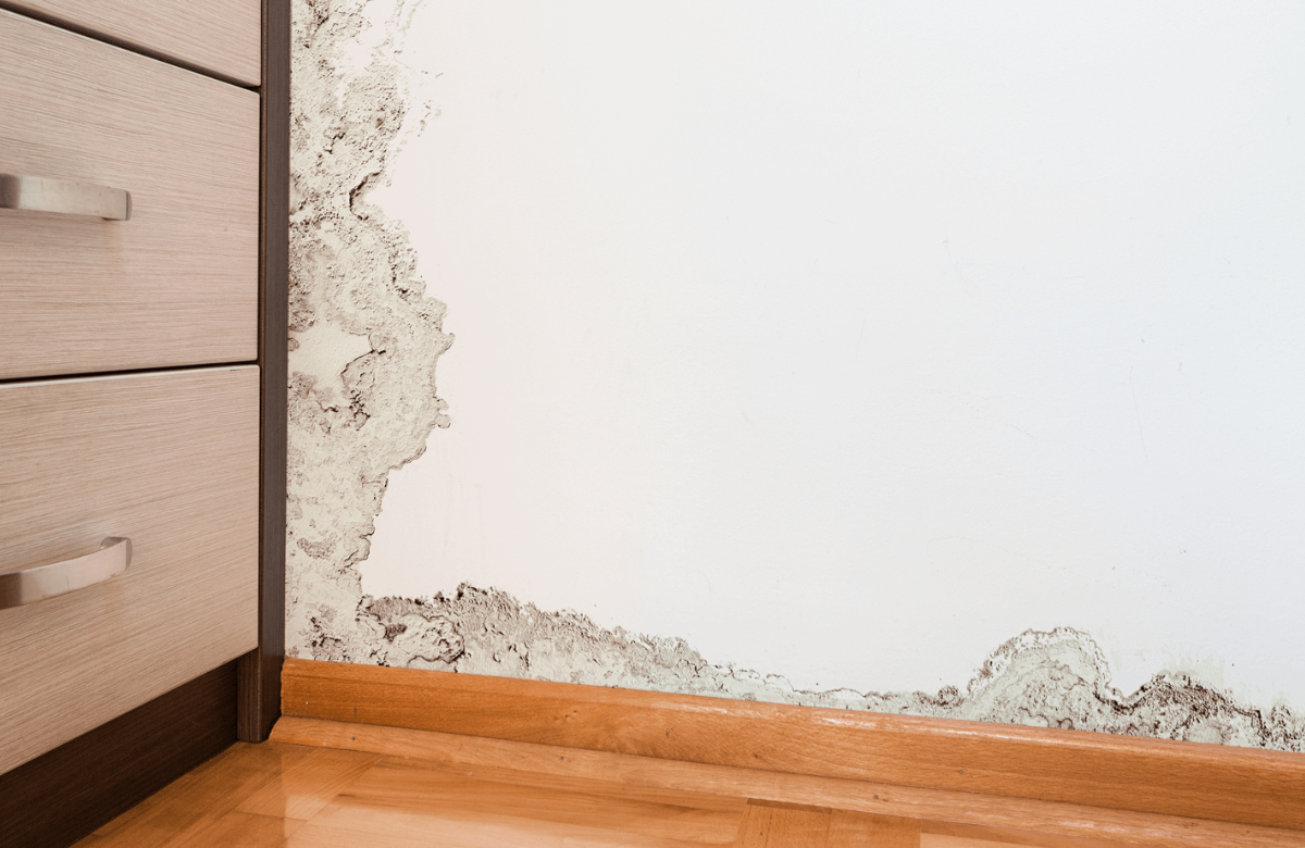 Tips To Get Rid Of Moisture On House Walls