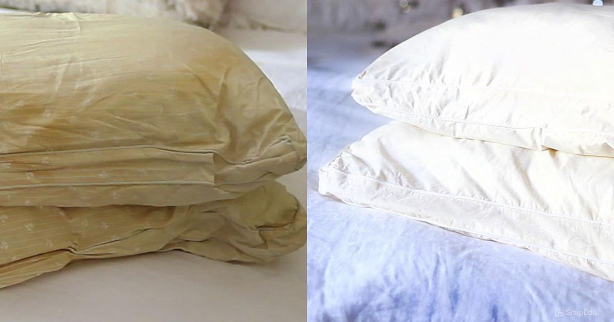 Easy Way To Clean Pillows