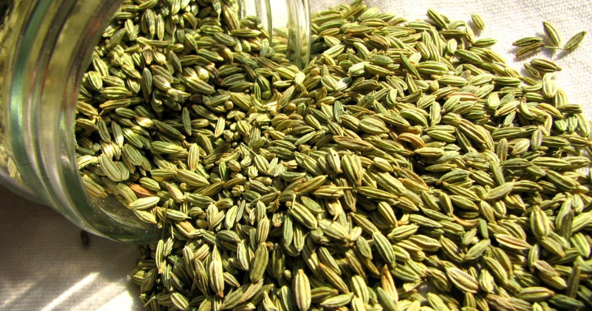 Fennel Seed Usage At Home