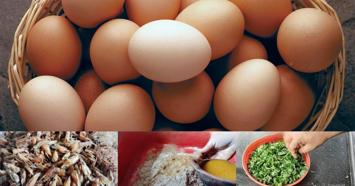 How To Make Rich Poultry Feed