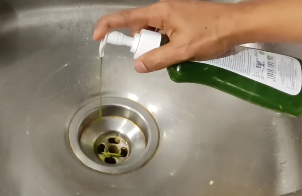 Kitchen Hacks Using Papaya Leaf