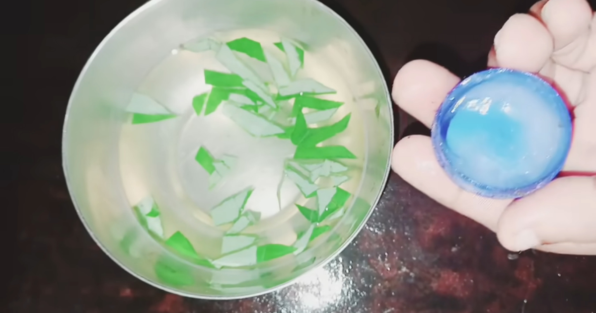 Pepper Leaf For Get Rid Of Lizards