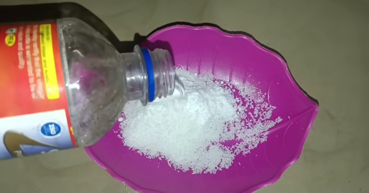 Salt For Get Rid Of Reptiles From House