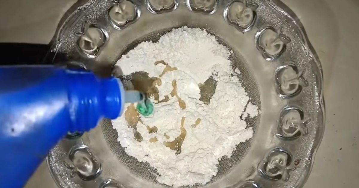 Simple Trick To Get Rid Of Rats From Home