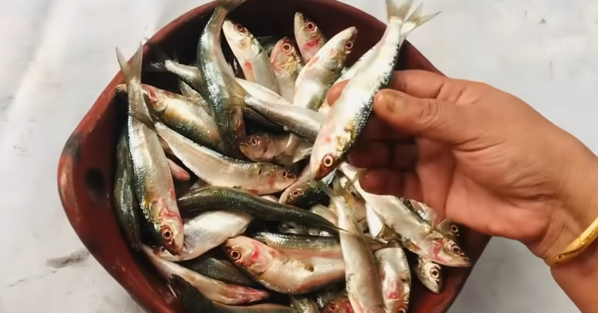 Tip To Clean Kunjan Mathi