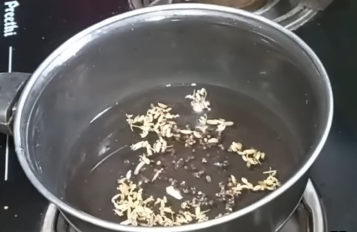 Tips Get Rid Of Reptiles Easly