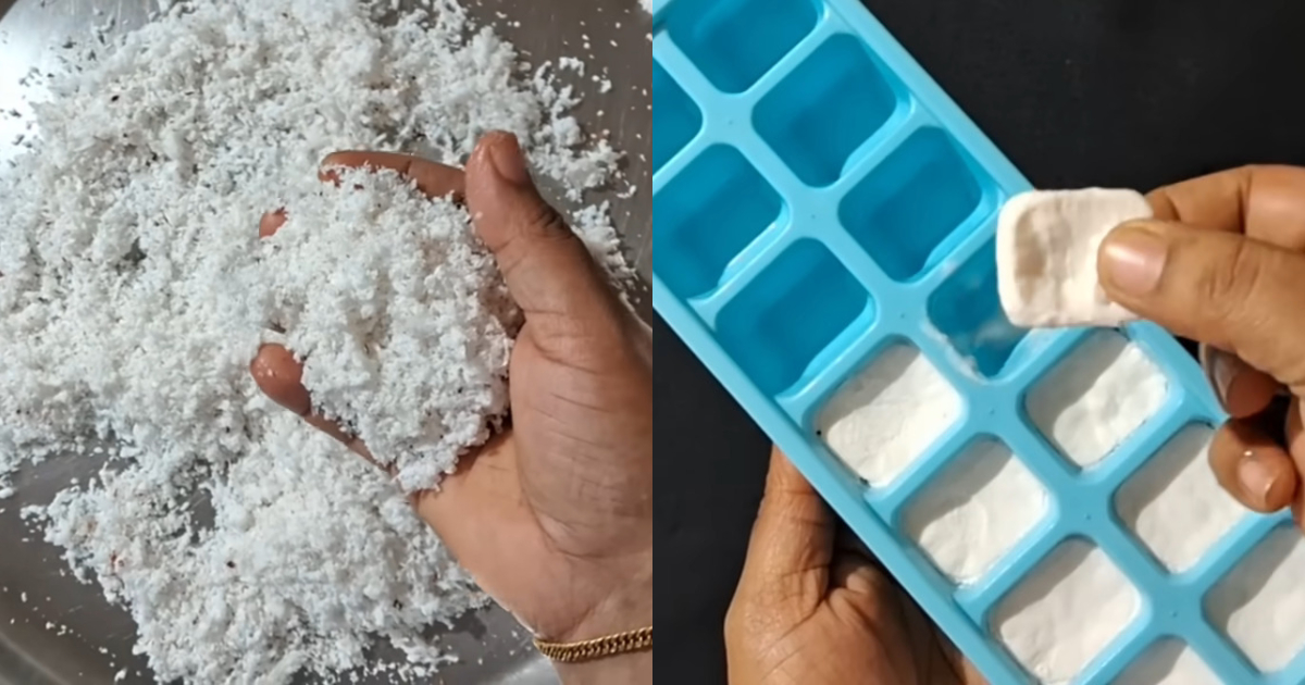 Trick To Save Coconut For Long Time