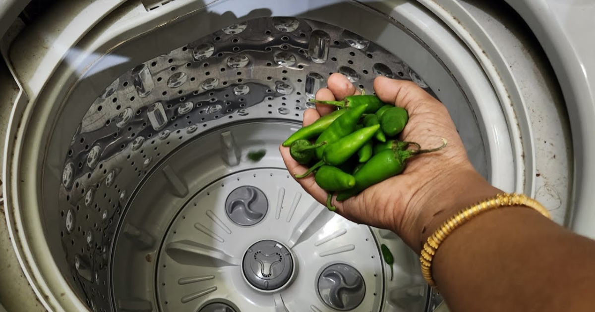 Washing Machine Cleaning Easy Tip