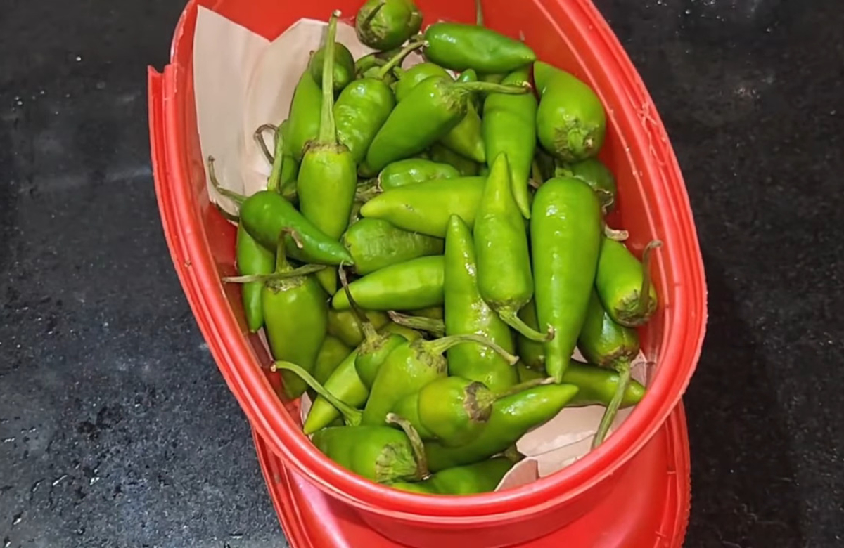 Washing Machine Cleaning Easy Tip