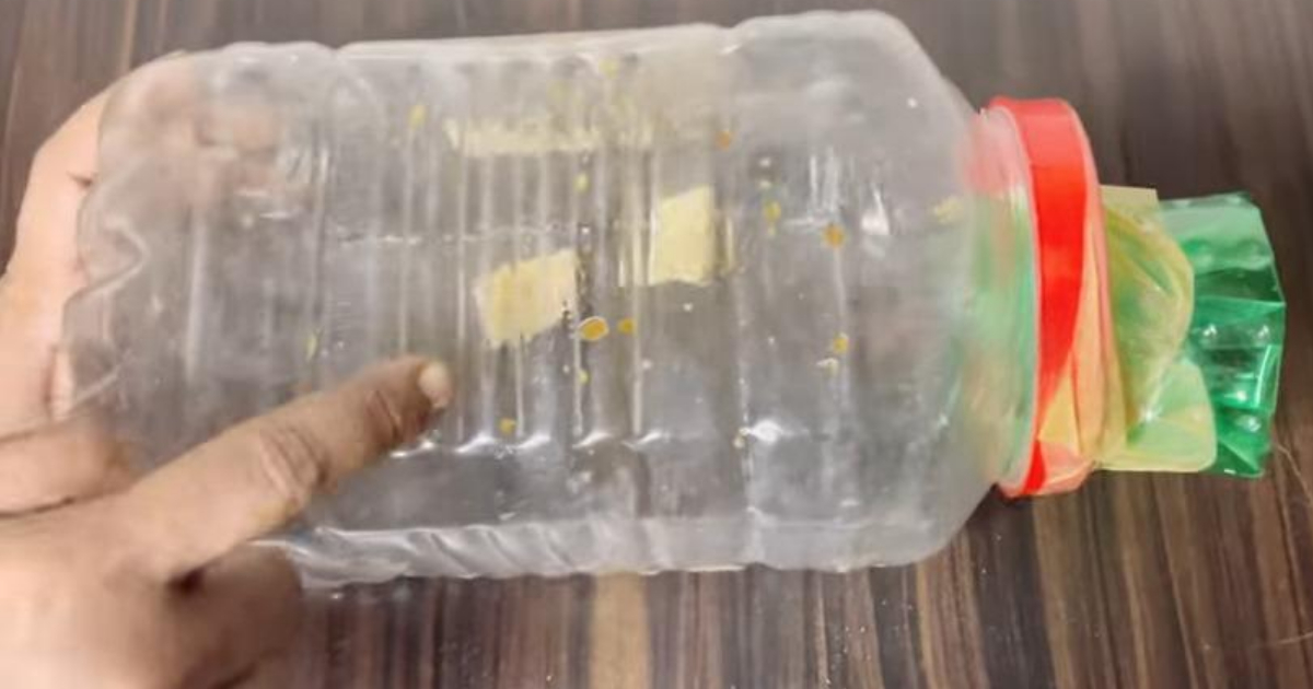 New Idea To Get Rid Of Rats